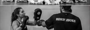 Private martial arts training